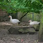 Apartment Friends And Familly Guest - Gare - Jardin - Combles Et Vous *
