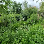 Friends And Familly Guest - Gare - Jardin - Combles Et Vous *