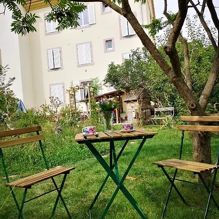 Daire Friends And Familly Guest - Gare - Jardin - Combles Et Vous Colmar