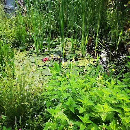 Friends And Familly Guest アパート *