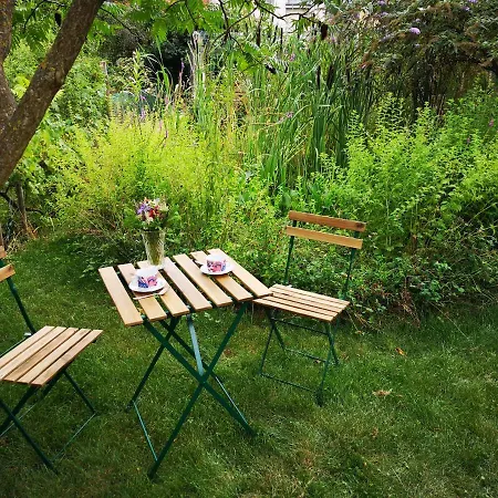 Friends And Familly Guest *