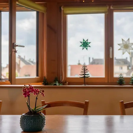 アパート Friends And Familly Guest コルマール