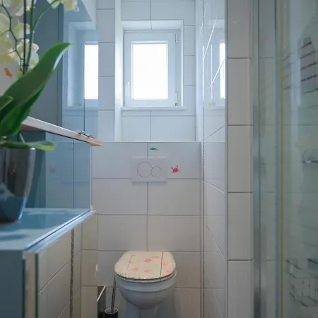 Friends And Familly Guest