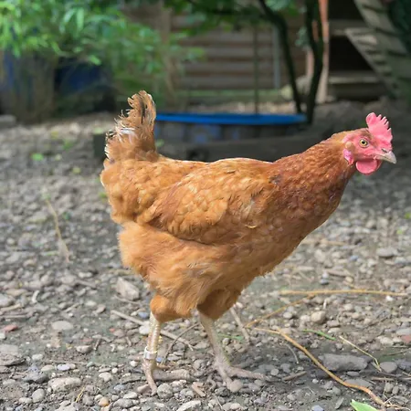 Friends And Familly Guest アパート *