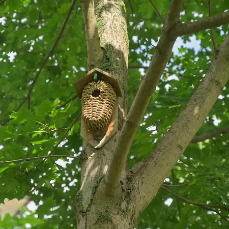 Friends And Familly Guest * コルマール