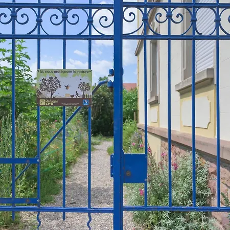 アパート Friends And Familly Guest コルマール