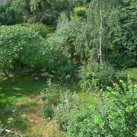 Daire Friends And Familly Guest - Gare - Jardin - Combles Et Vous Colmar