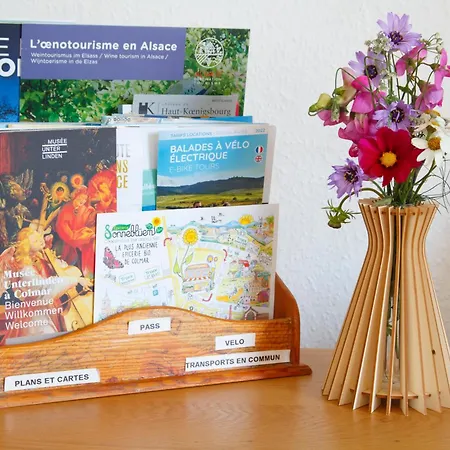 Friends And Familly Guest - Gare - Jardin - Combles Et Vous * Colmar
