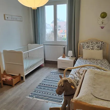 Daire Friends And Familly Guest - Gare - Jardin - Combles Et Vous Colmar